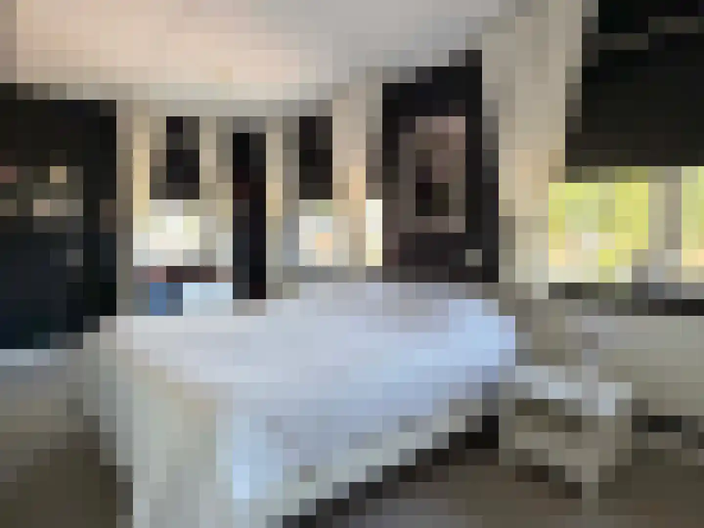 Looweg 44 Coevorden thumbnail 37
