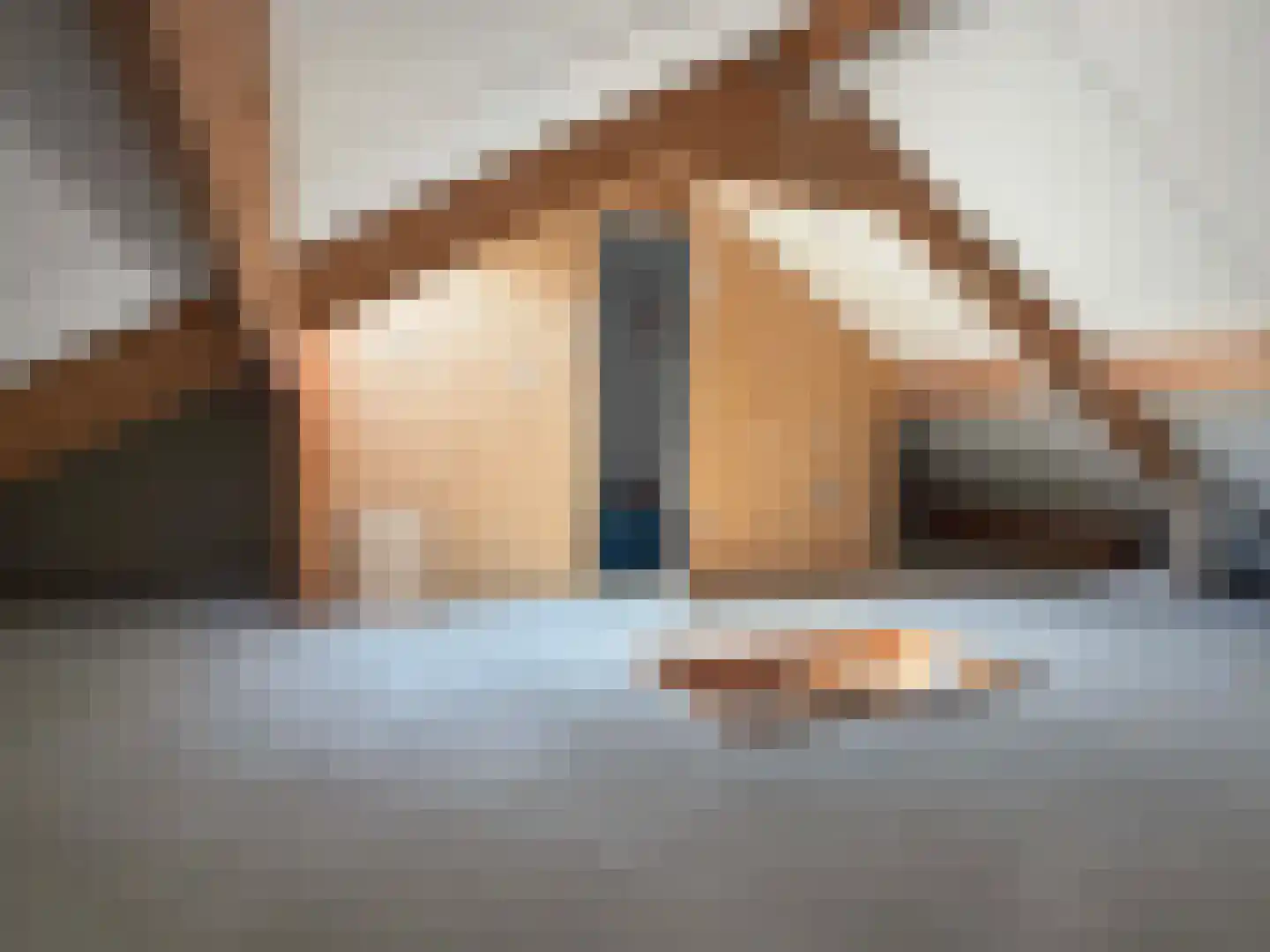 Looweg 44 Coevorden thumbnail 40