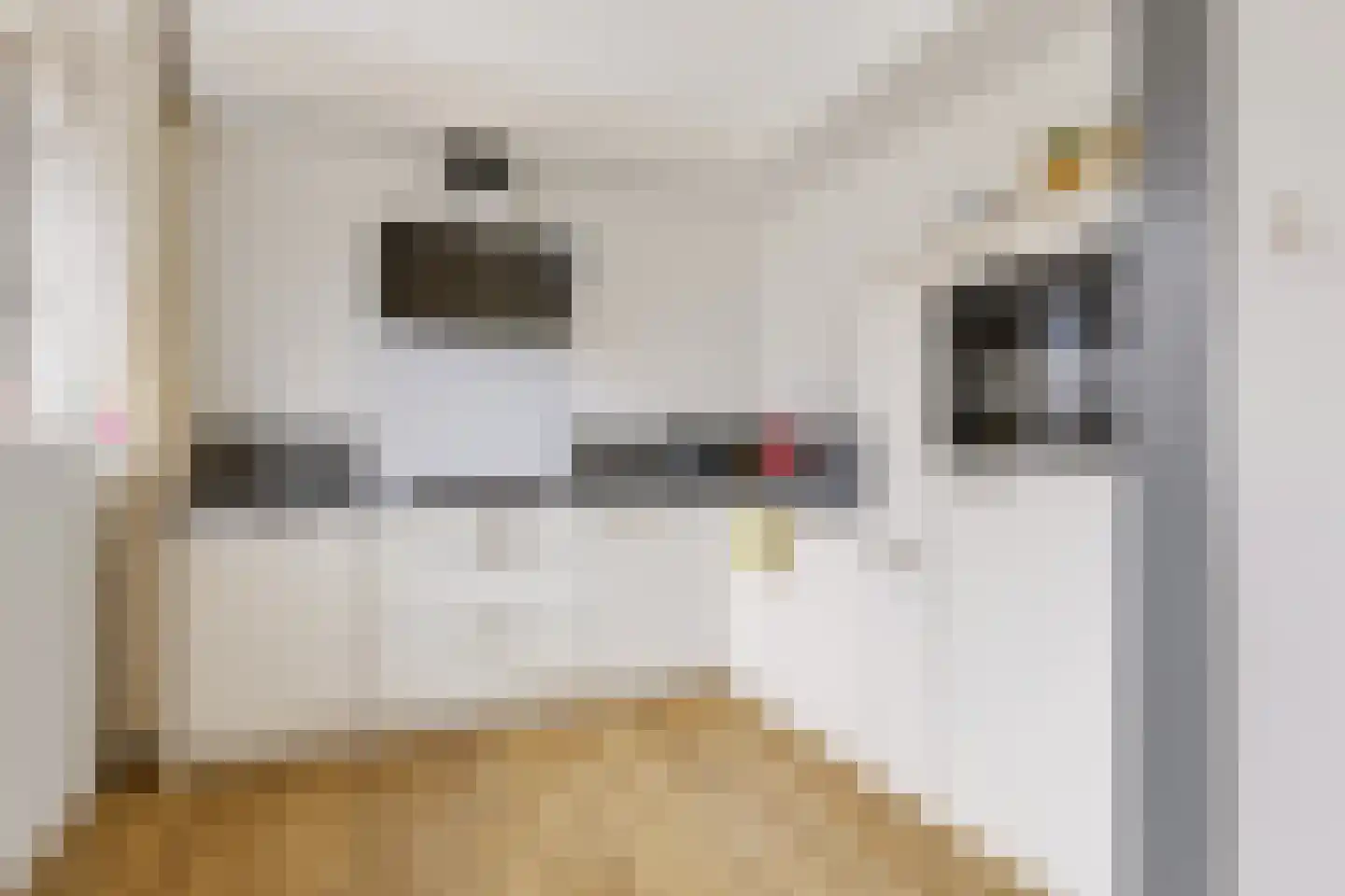 Looweg 6 Harreveld thumbnail 14