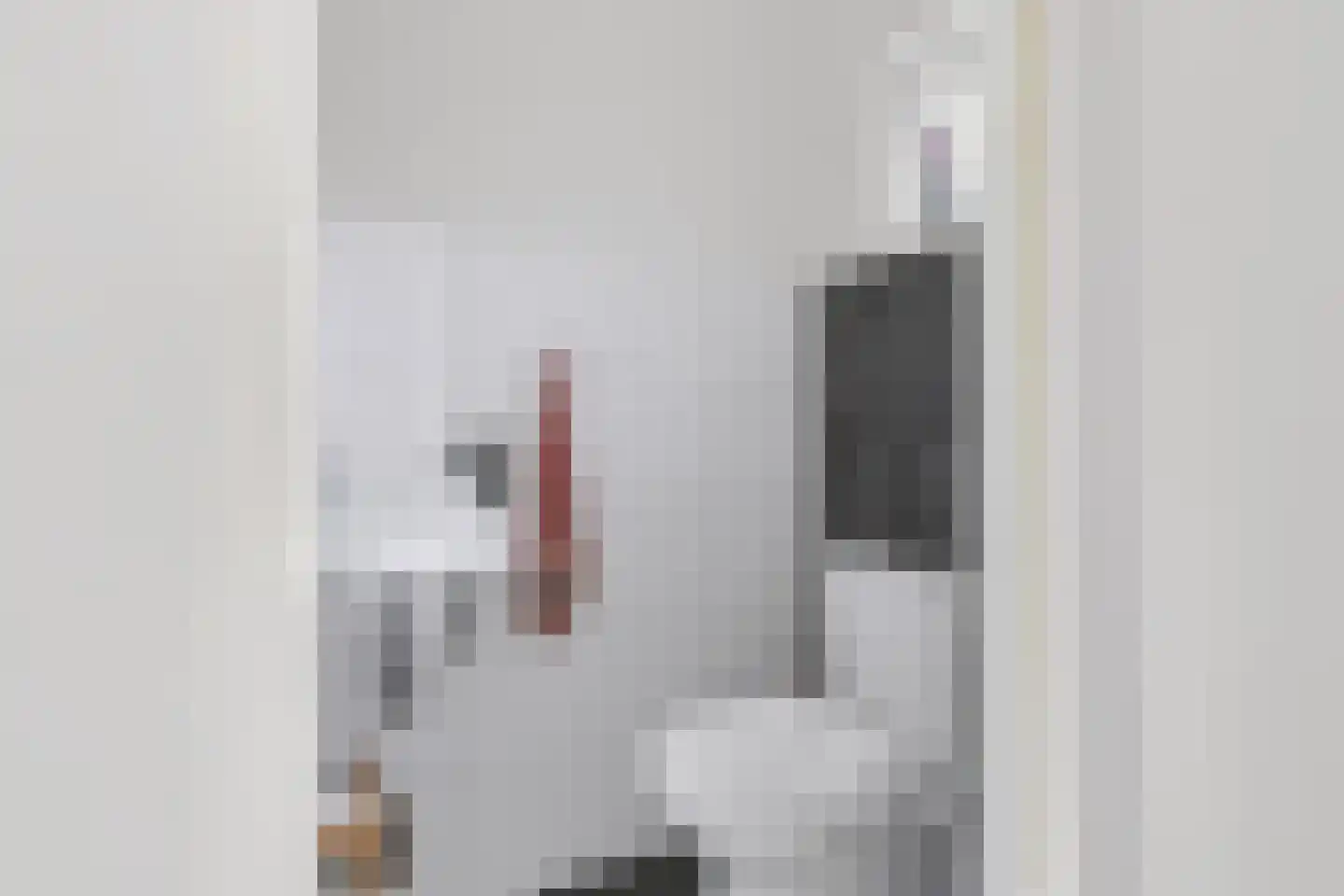 Looweg 6 Harreveld thumbnail 20