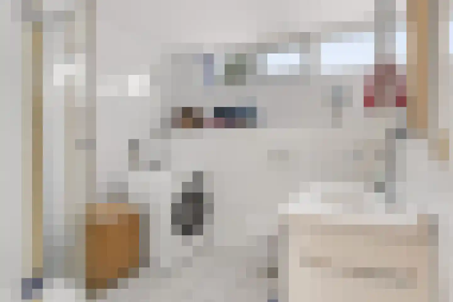 Looweg 6 Harreveld thumbnail 29