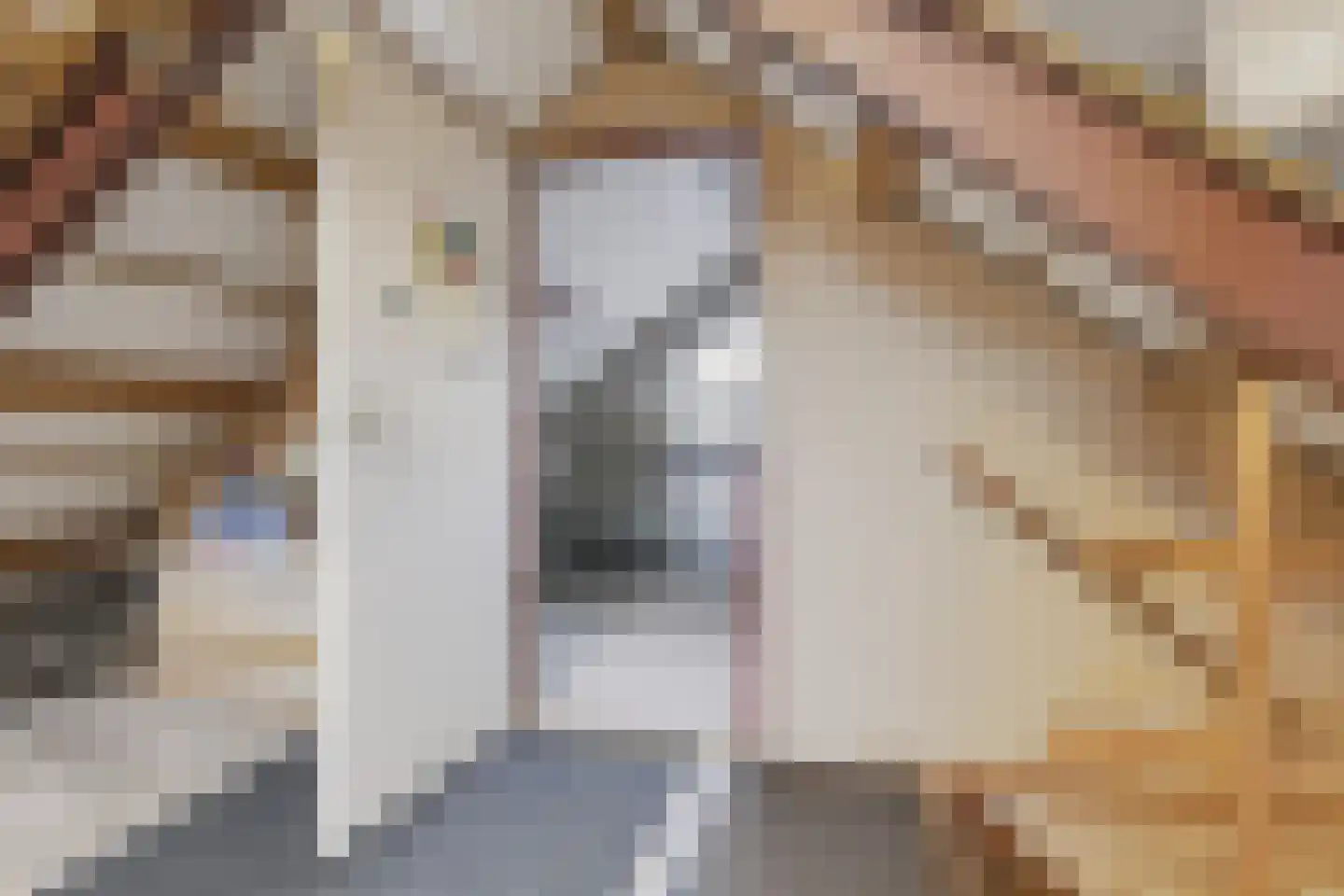 Looweg 6 Harreveld thumbnail 33