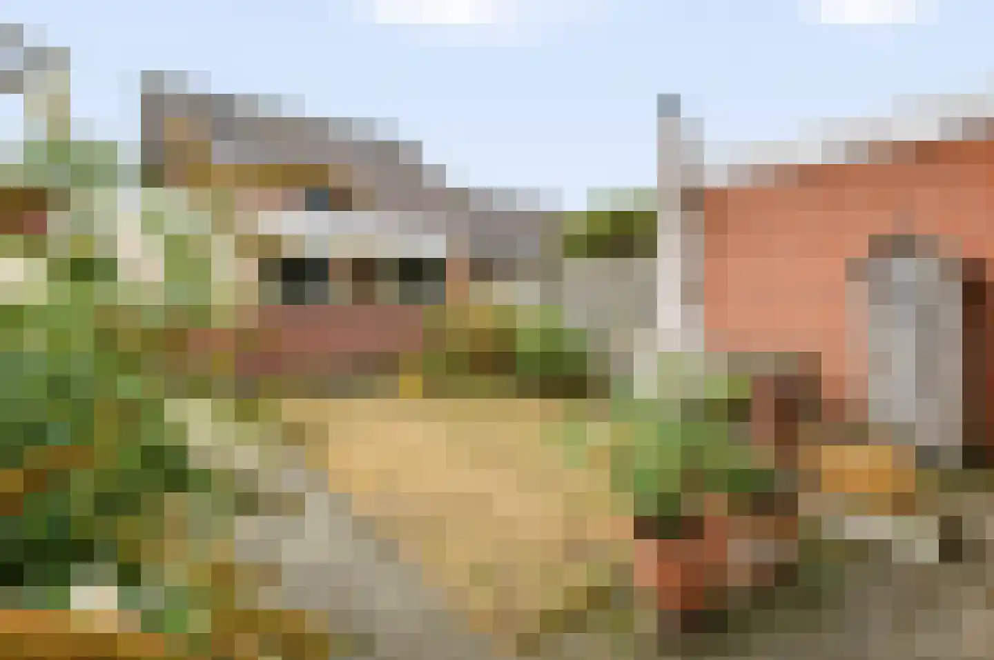 Looweg 6 Harreveld thumbnail 38