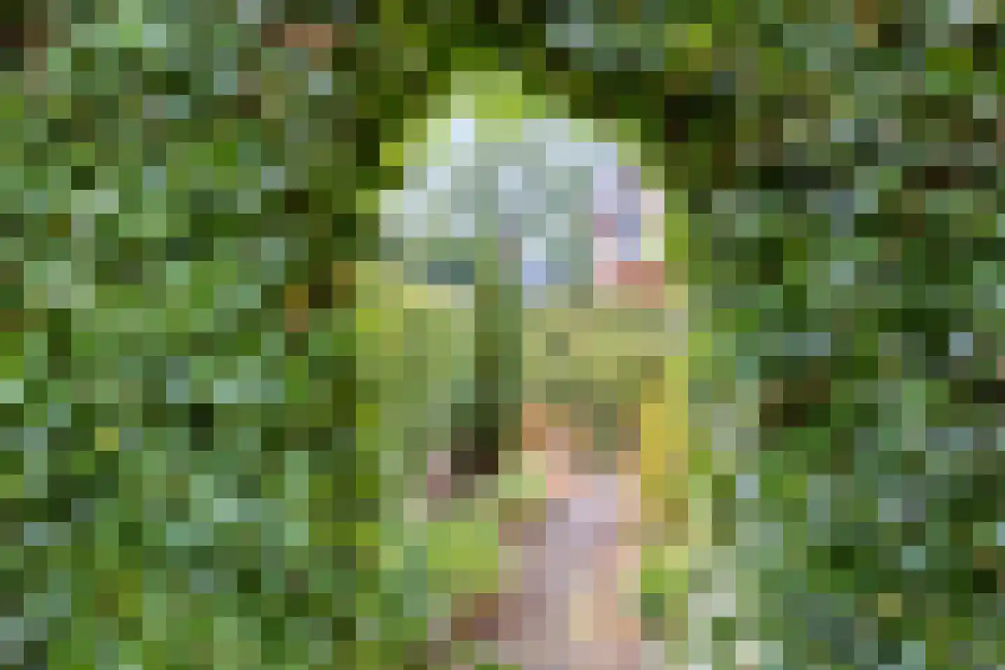Looweg 6 Harreveld thumbnail 40