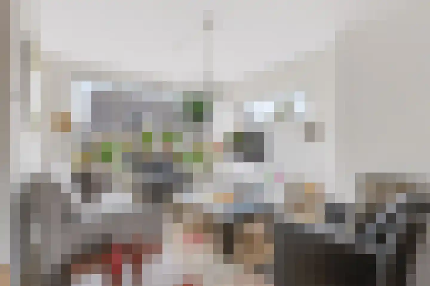 Looweg 6 Harreveld thumbnail 6