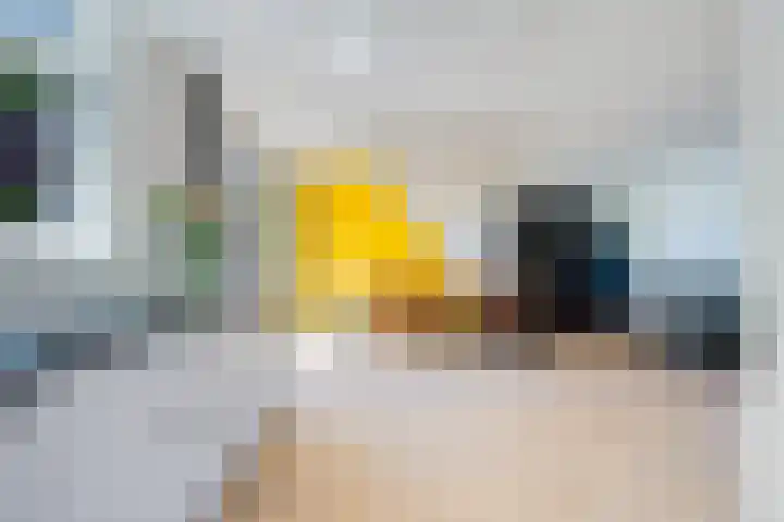 Looxmadwarsstraat 19 Sneek thumbnail 10