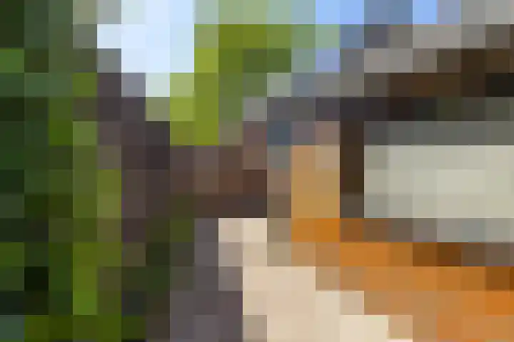 Looxmadwarsstraat 19 Sneek thumbnail 30