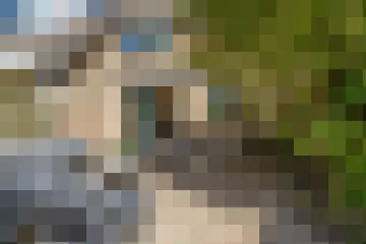 Looxmadwarsstraat 19 Sneek thumbnail 31