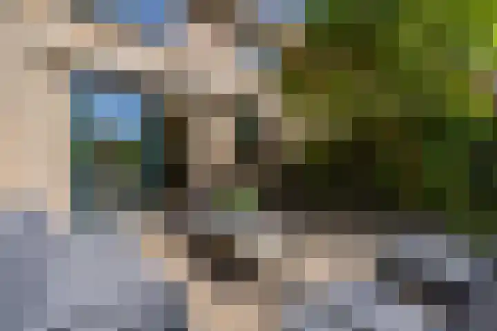 Looxmadwarsstraat 19 Sneek thumbnail 33