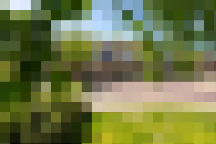 Looxmadwarsstraat 19 Sneek thumbnail 34