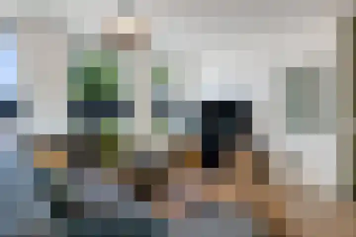 Looxmadwarsstraat 19 Sneek thumbnail 6