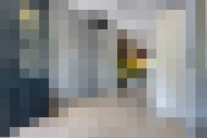 Looxmagracht 1 Sneek thumbnail 34
