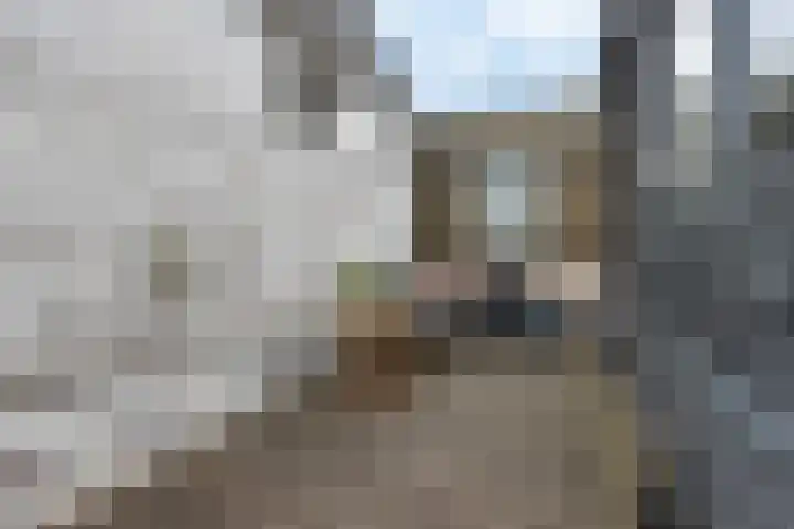 Looxmagracht 1 Sneek thumbnail 38