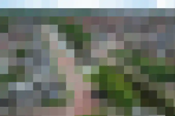 Looxmagracht 1 Sneek thumbnail 47