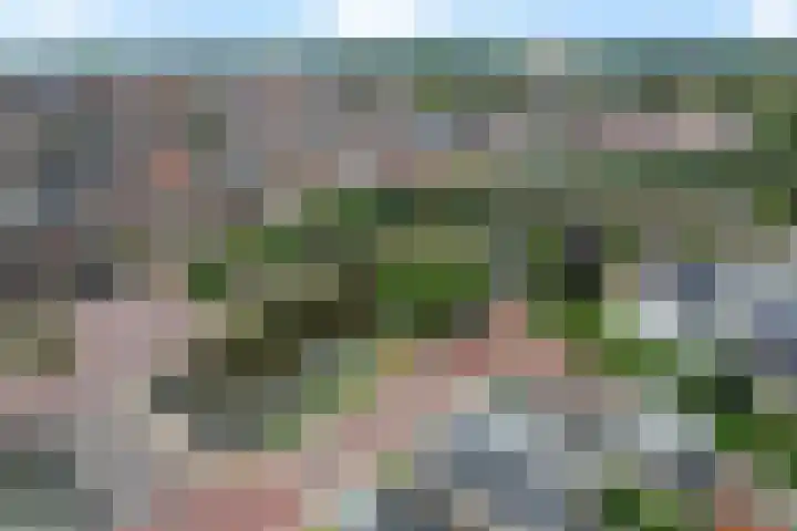 Looxmagracht 1 Sneek thumbnail 48