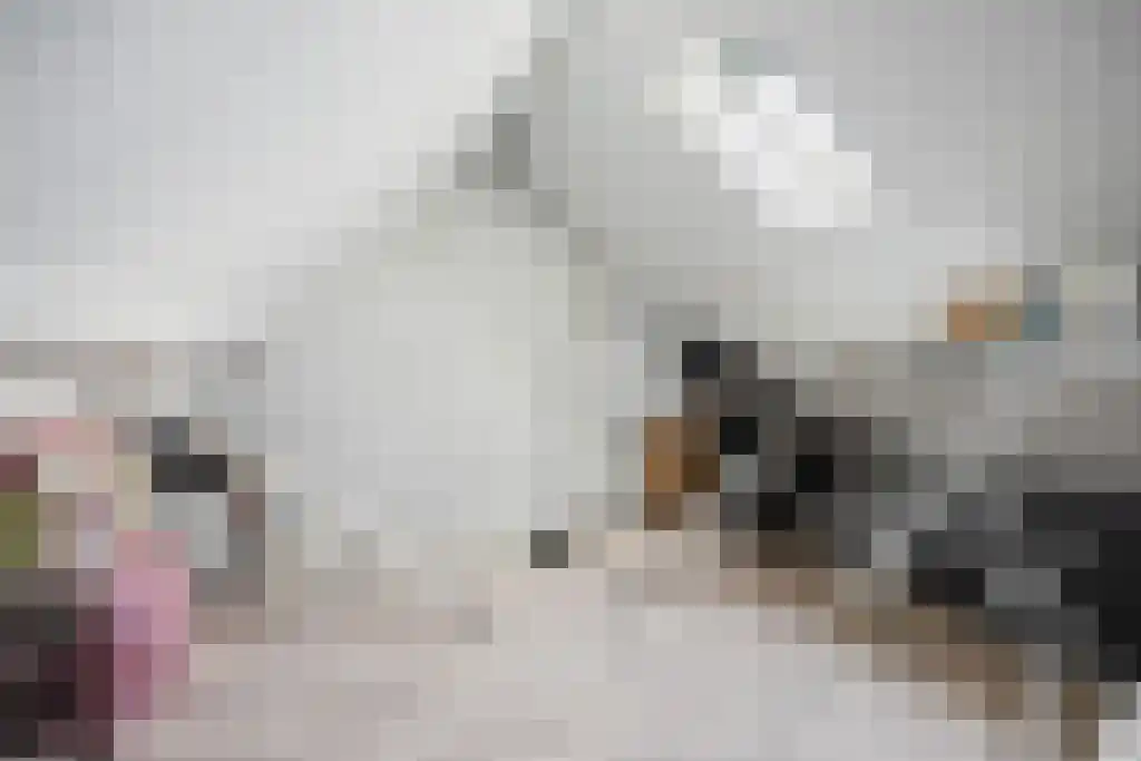 Looxmagracht 7 Sneek thumbnail 30