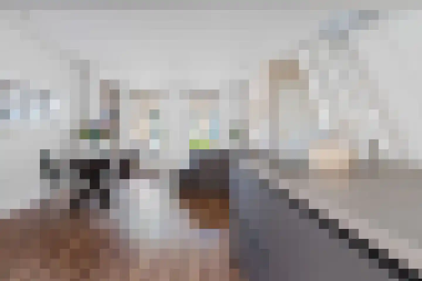 Looxmastraat 28 Sneek thumbnail 18
