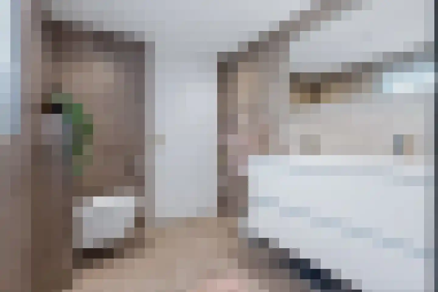 Looxmastraat 28 Sneek thumbnail 35