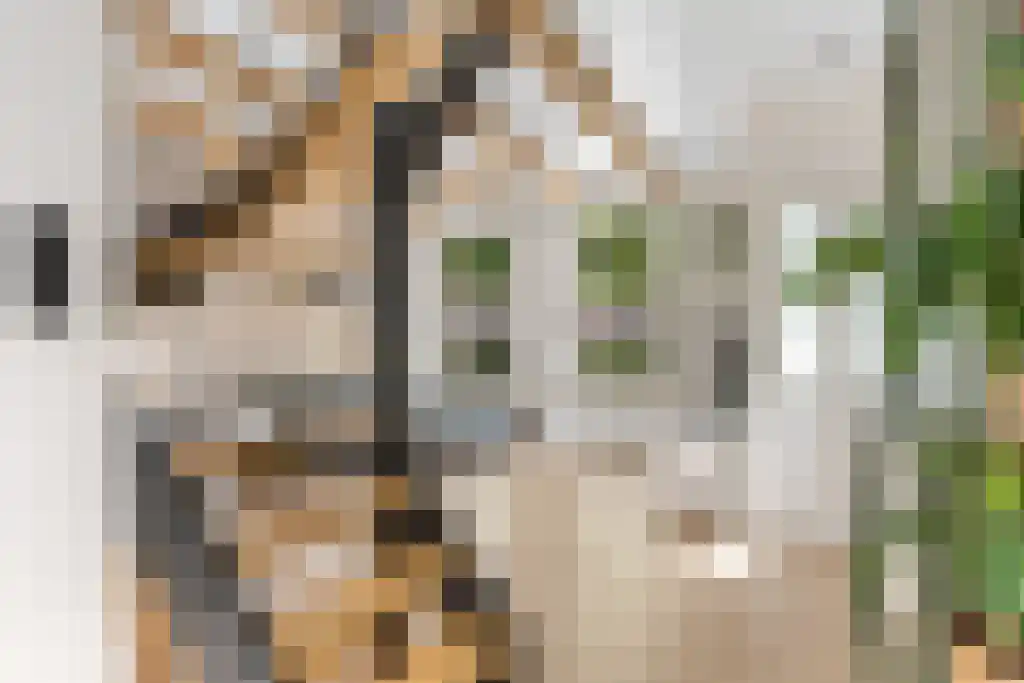 Looxmastraat 44 Sneek thumbnail 10