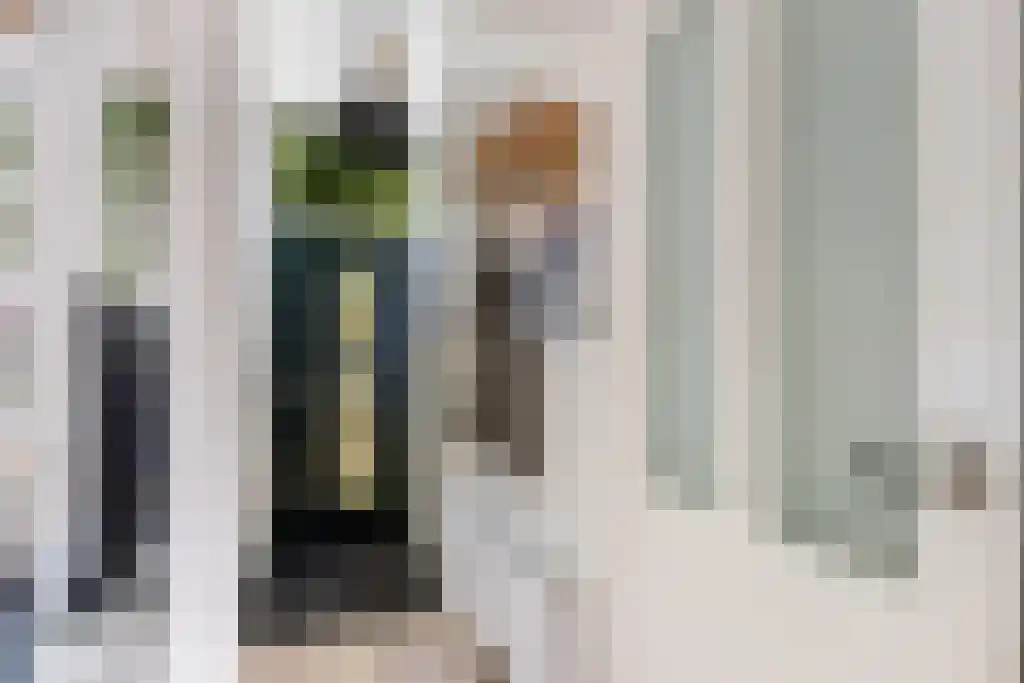 Looxmastraat 44 Sneek thumbnail 21