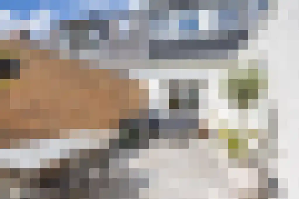 Looxmastraat 44 Sneek thumbnail 33