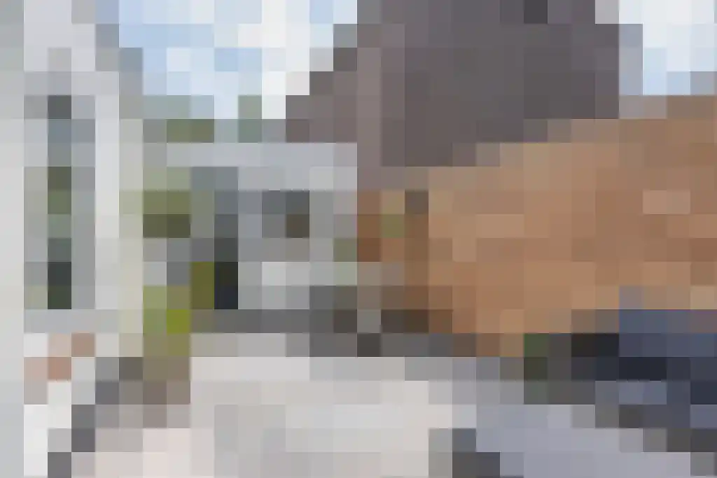 Looxmastraat 44 Sneek thumbnail 34