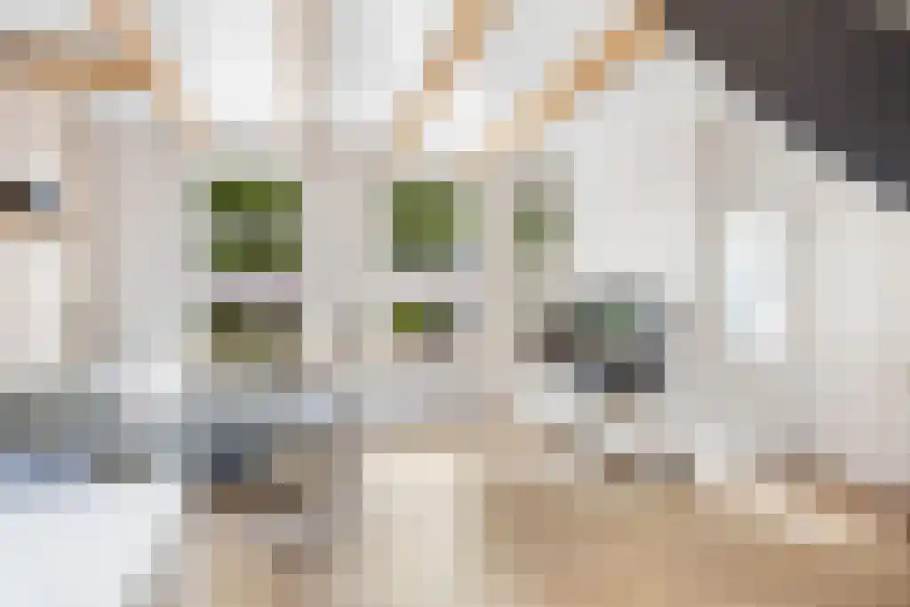 Looxmastraat 44 Sneek thumbnail 4