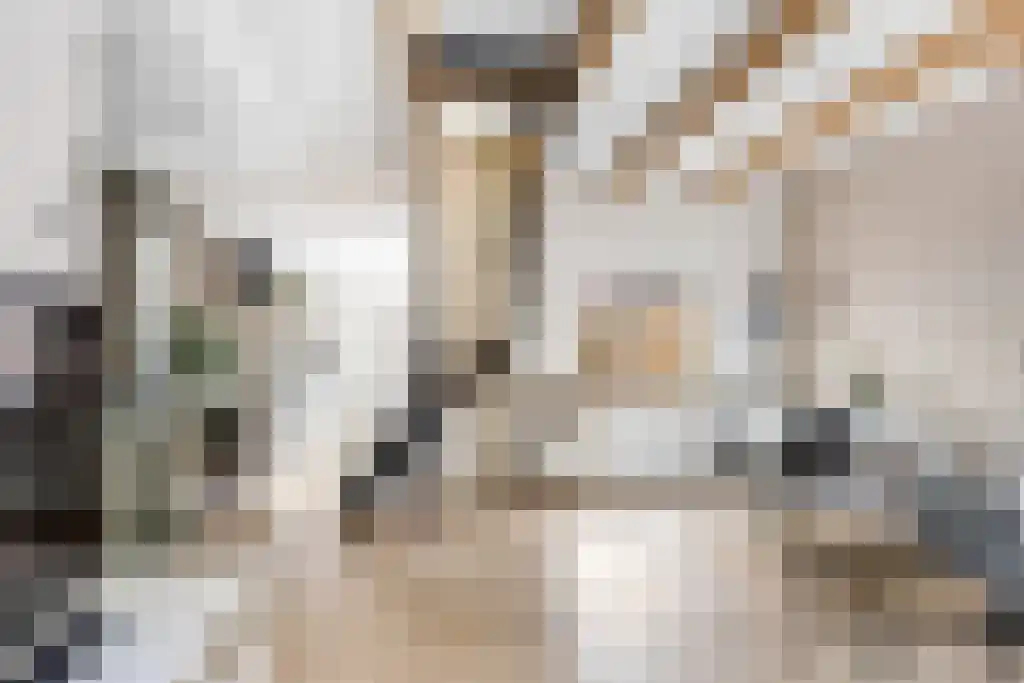Looxmastraat 44 Sneek thumbnail 6