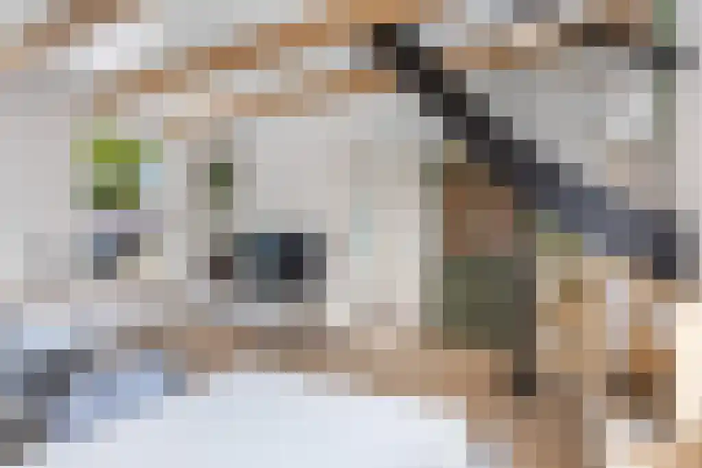 Looxmastraat 44 Sneek thumbnail 8