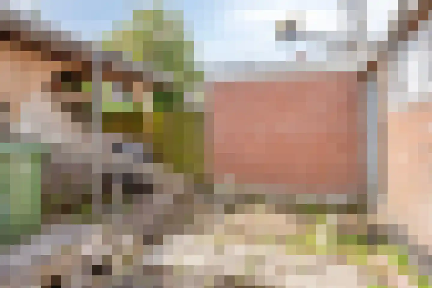 Looxmastraat 50 Sneek thumbnail 13