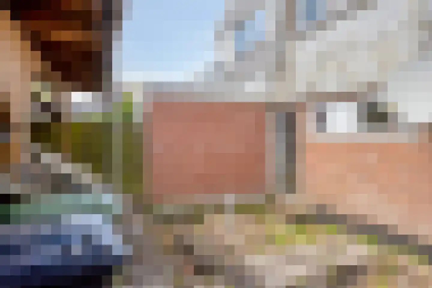 Looxmastraat 50 Sneek thumbnail 15