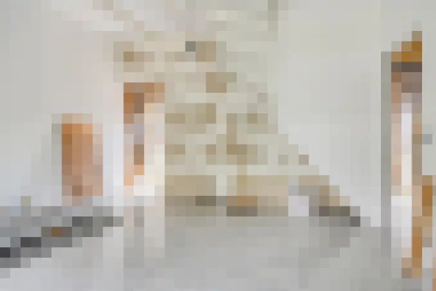 Looxmastraat 50 Sneek thumbnail 7