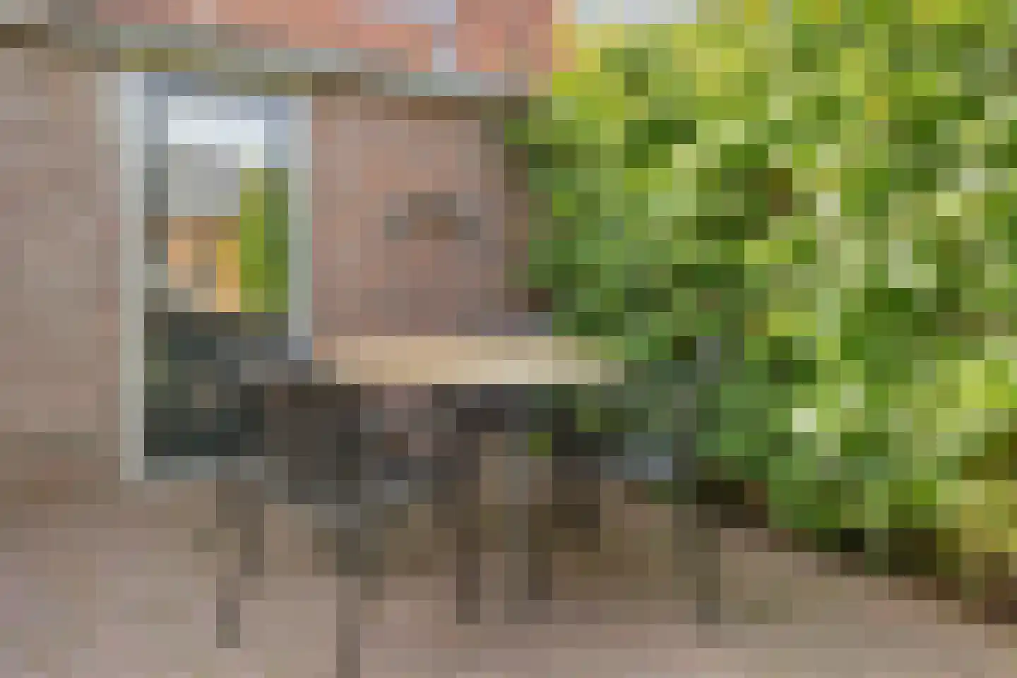 Looydijk 30 De Bilt thumbnail 15
