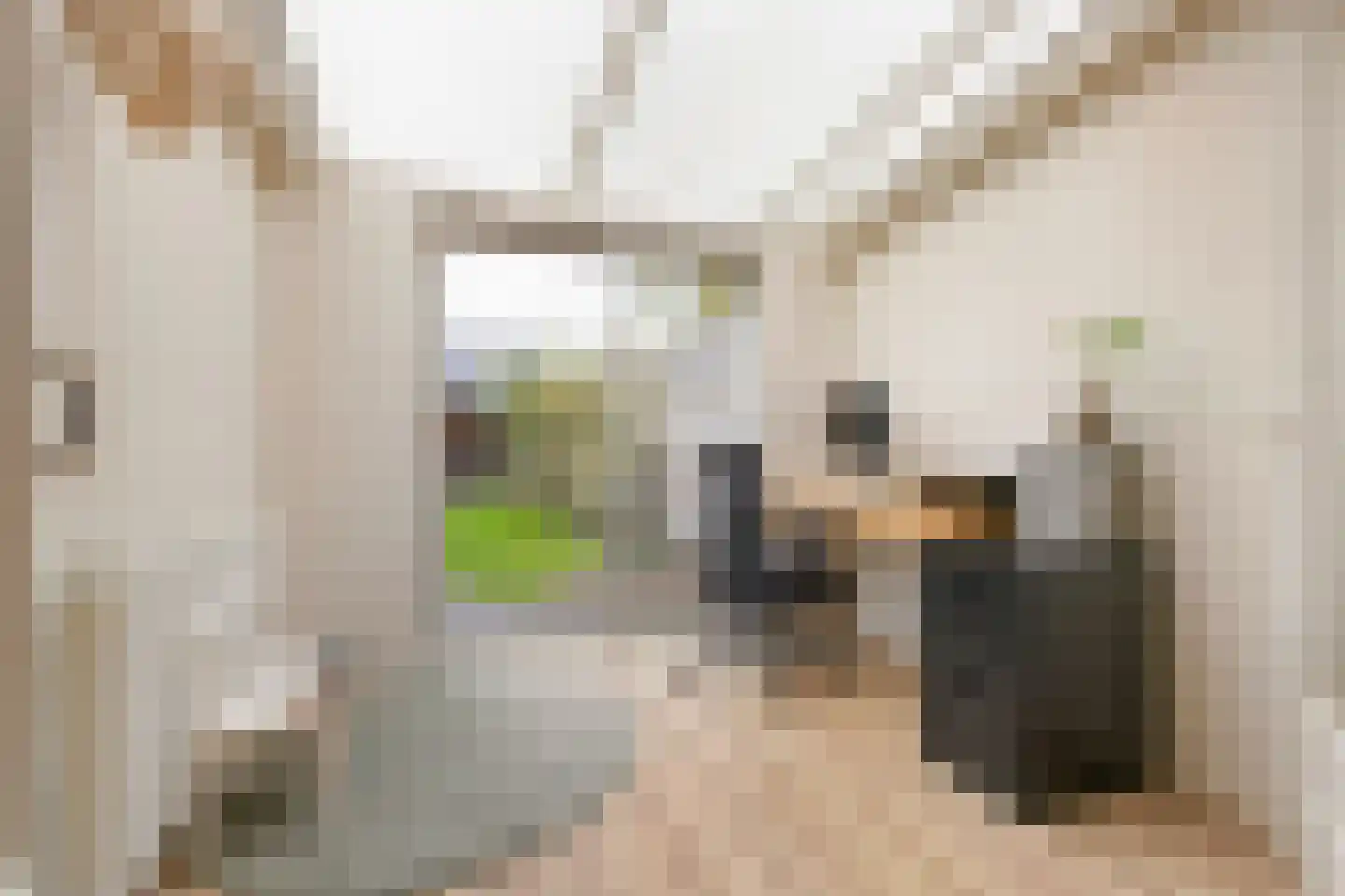 Looydijk 30 De Bilt thumbnail 9