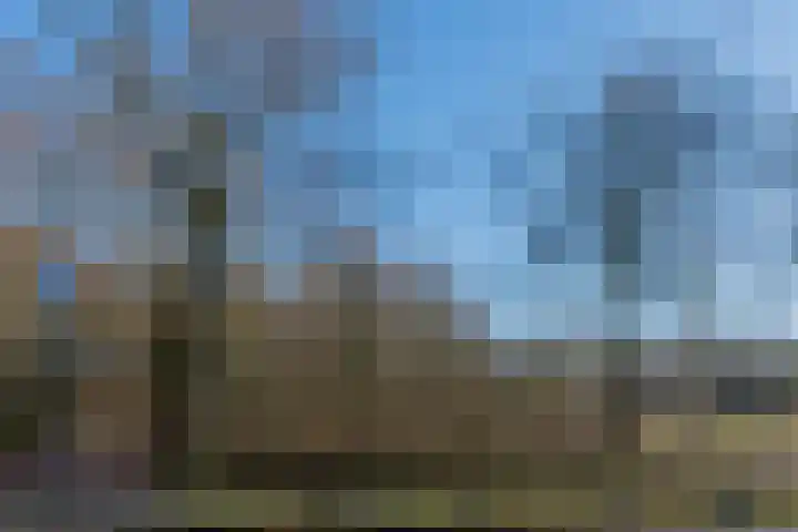 Looydijk 5 De Bilt thumbnail 35