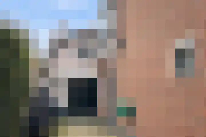 Looydijk 5 De Bilt thumbnail 5