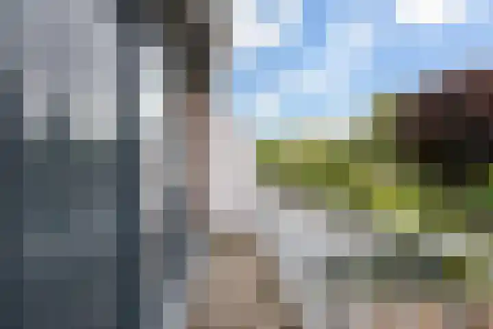 Looydijk 55 De Bilt thumbnail 25