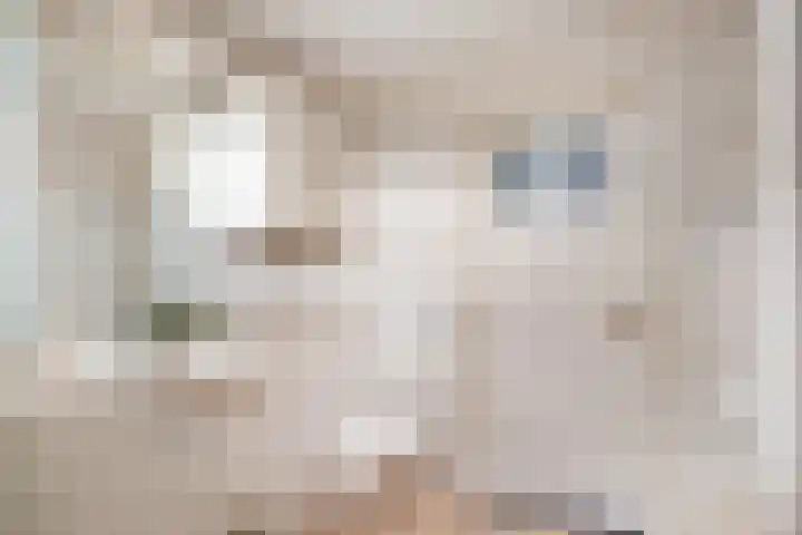 Looydijk 55 De Bilt thumbnail 27