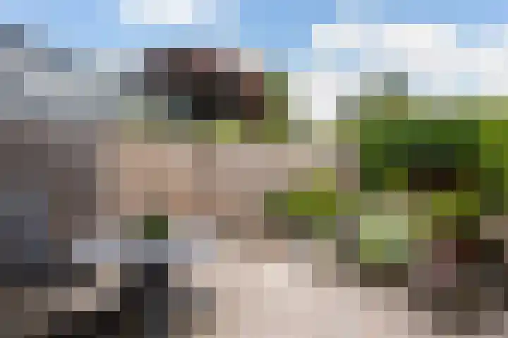 Looydijk 55 De Bilt thumbnail 36