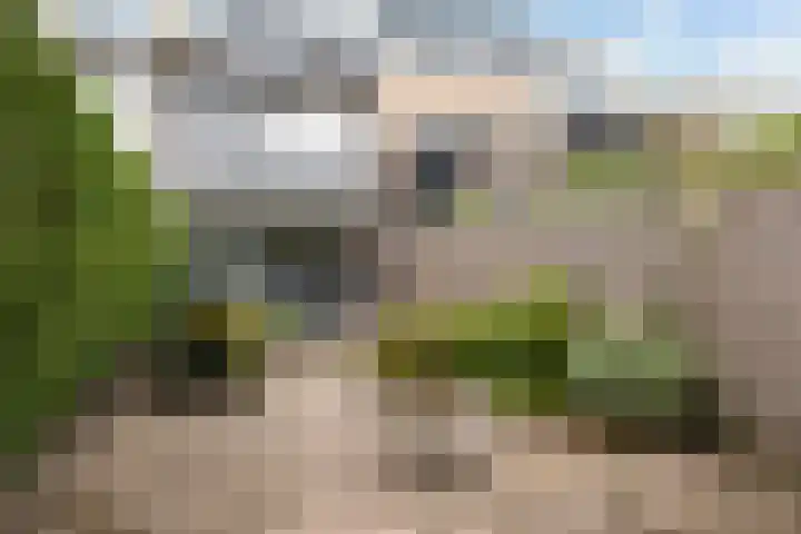 Looydijk 55 De Bilt thumbnail 37