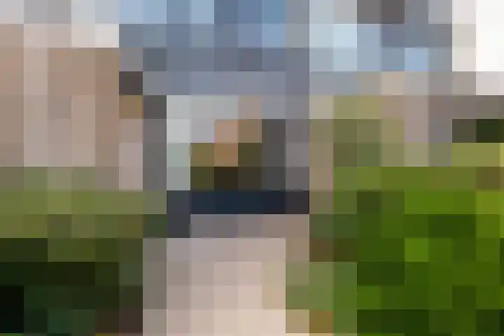 Looydijk 55 De Bilt thumbnail 40