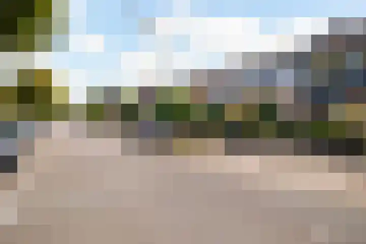 Looydijk 55 De Bilt thumbnail 45