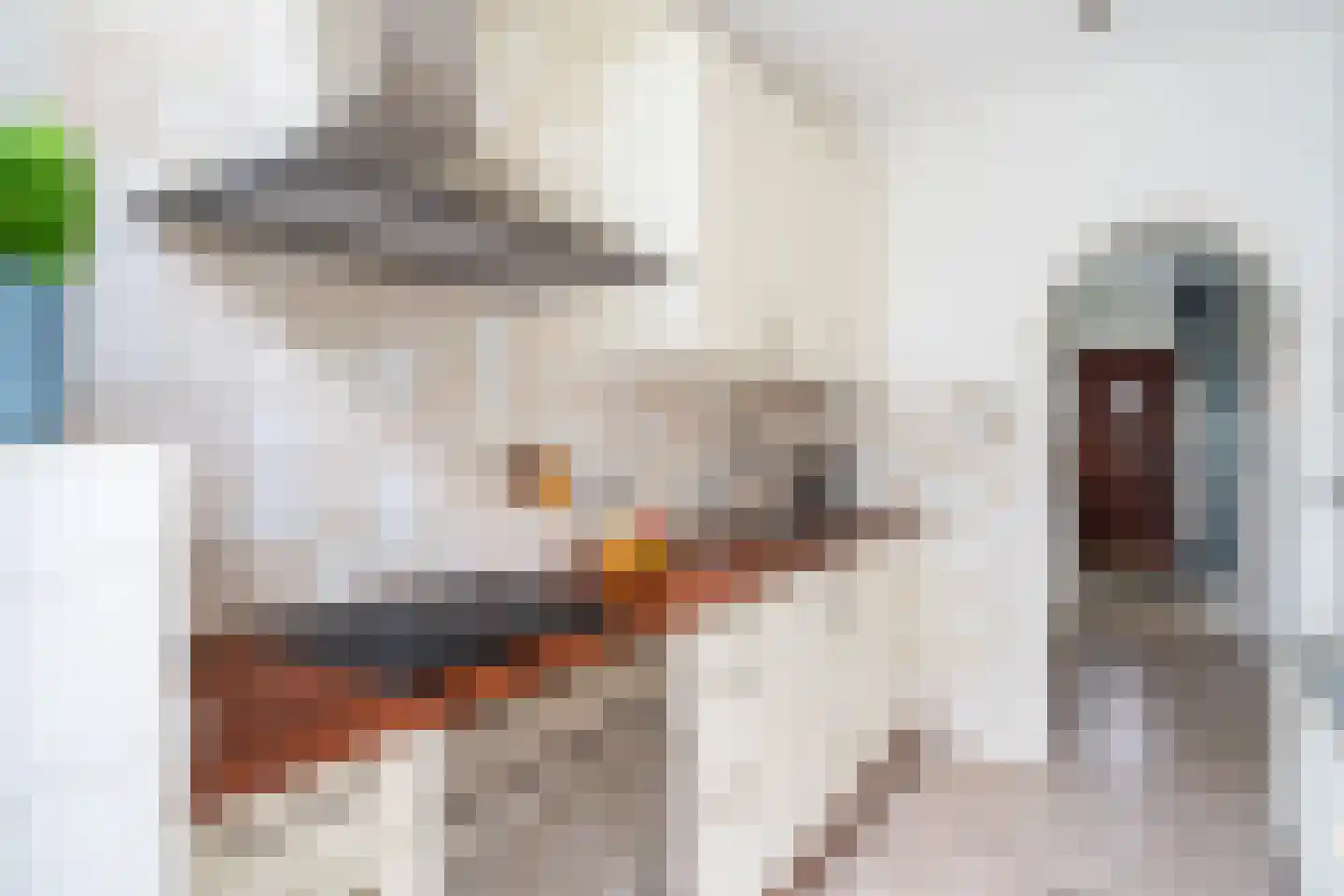 Looydijk 58 De Bilt thumbnail 16