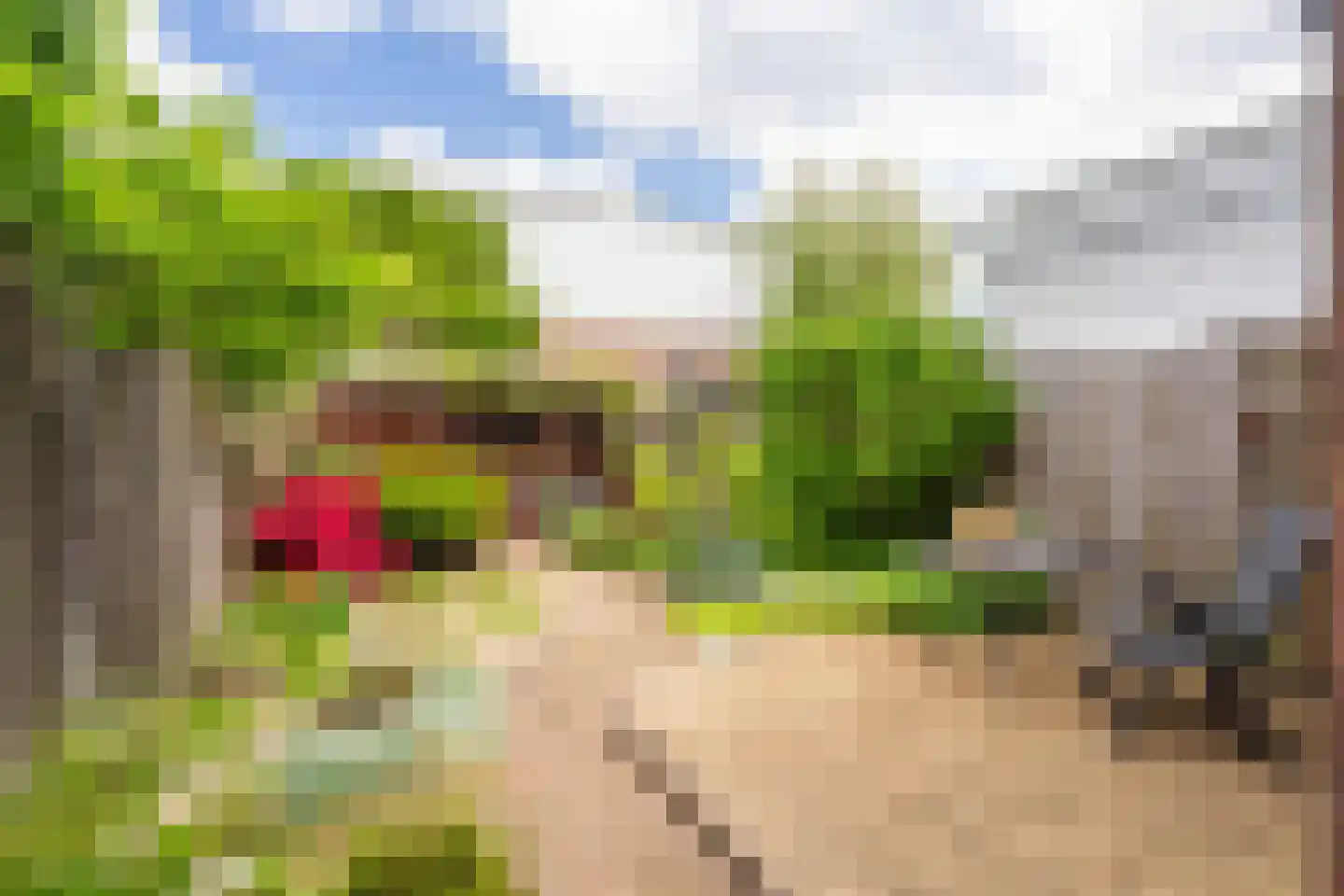 Looydijk 58 De Bilt thumbnail 36
