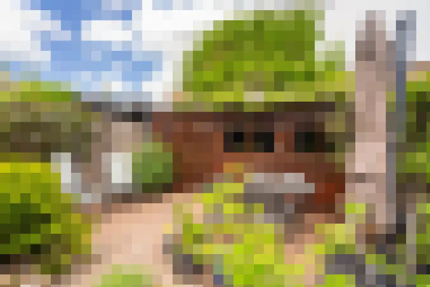 Looydijk 58 De Bilt thumbnail 37