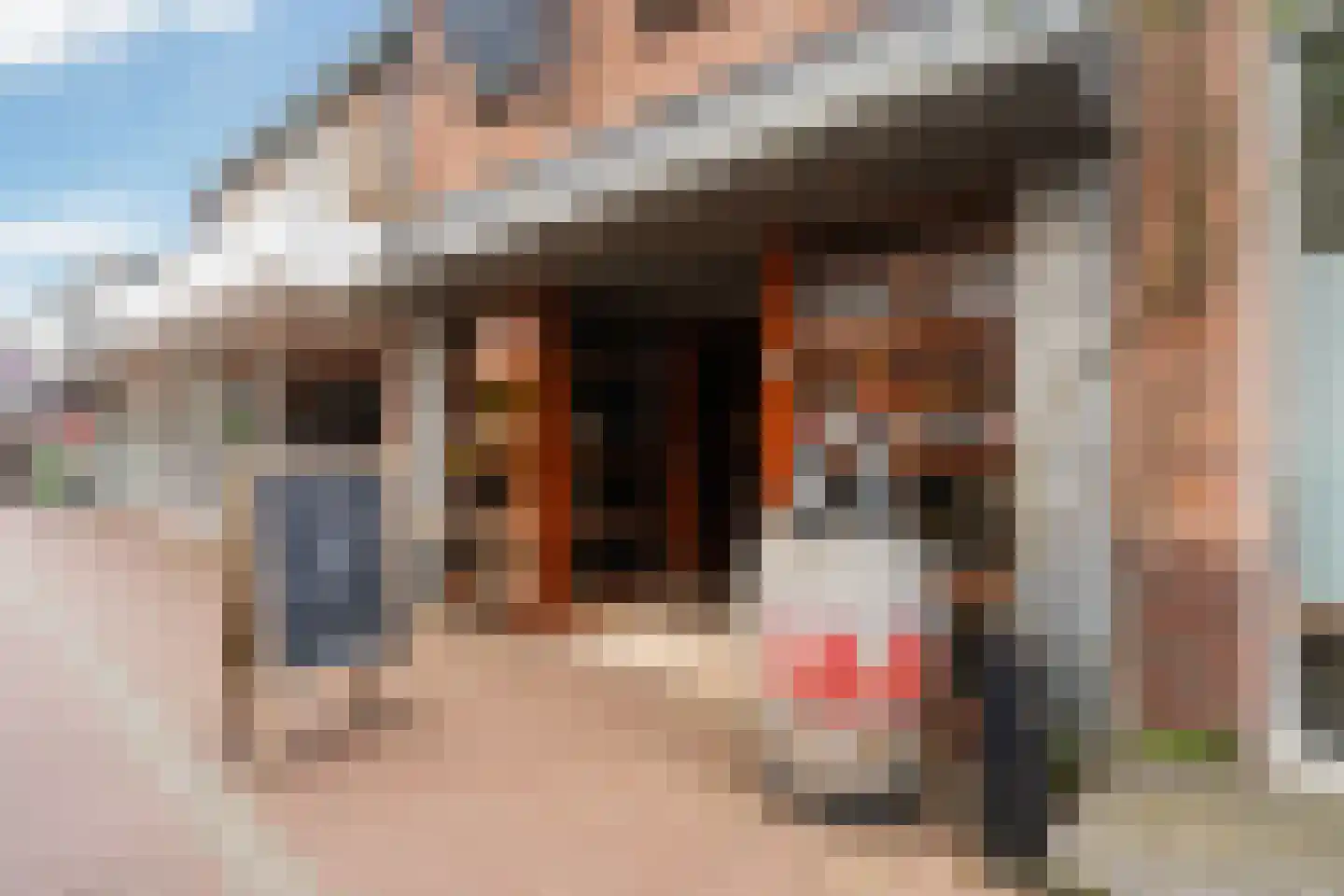Looydijk 58 De Bilt thumbnail 41