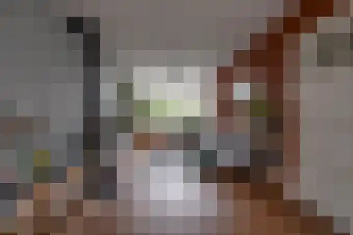 Looydijk 72 De Bilt thumbnail 5