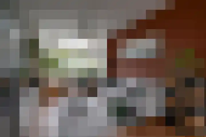 Looydijk 72 De Bilt thumbnail 6