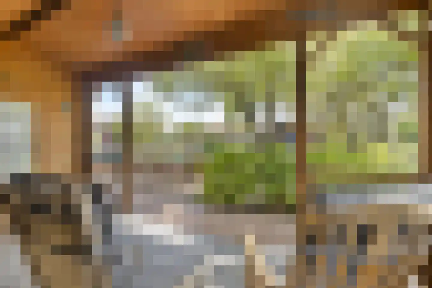 Looydijk 77 Tienhoven thumbnail 35
