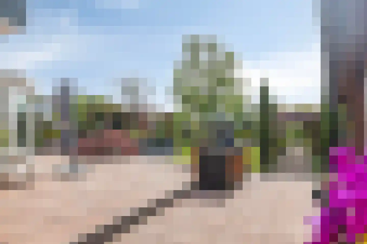 Looydijk 77 Tienhoven thumbnail 41